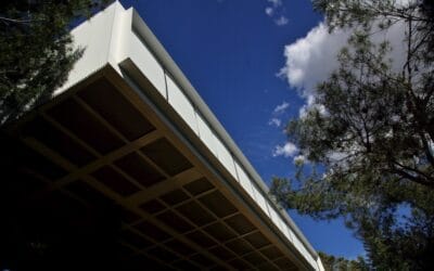 Trabajos en casa BF: Tejido Soltis y Llaza